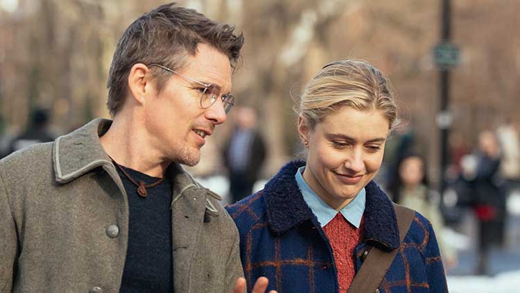 Ethan Hawke and Greta Gerwig in Maggie's Plan