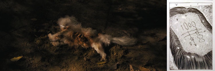 Perro muerto Under the Silver Lake + Como un guante de seda forjado en hierro